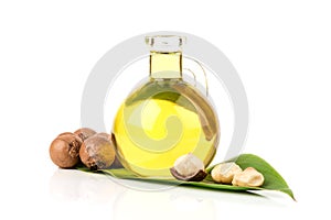 Macadamia fruits and oil isolated white background