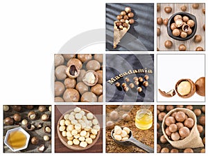 Macadamia integrifolia - Creative collage of macadamia nuts images