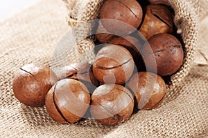 Macadamia nut