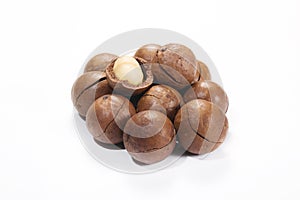 Macadamia nut photo