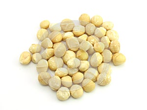 Macadamia Nut