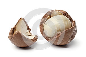 Macadamia nut in a broken shell