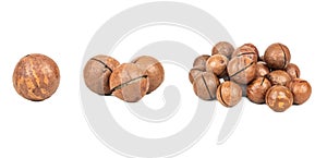 Macadamia nut isolate, set