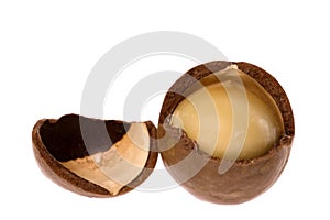 Macadamia Nut Macro