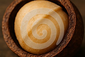 Macadamia Nut Macro â Surface Texture and Culinary Ingredient Concept