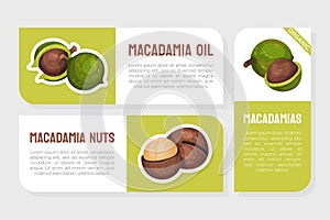 Macadamia Nut Product Label with Kernel and Shell Vector Template