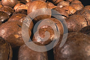 Macadamia nut in a shell close up. Macadamia nuts texture background. Macadamia nuts macro