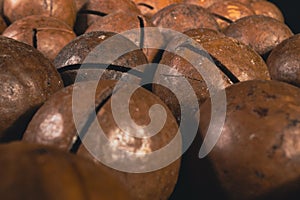 Macadamia nut in a shell close up. Macadamia nuts texture background. Macadamia nuts macro