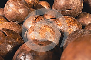 Macadamia nut in a shell close up. Macadamia nuts texture background. Macadamia nuts macro