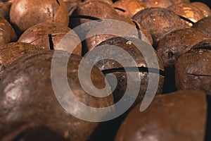 Macadamia nut in a shell close up. Macadamia nuts texture background. Macadamia nuts macro