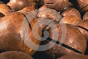 Macadamia nut in a shell close up. Macadamia nuts texture background. Macadamia nuts macro