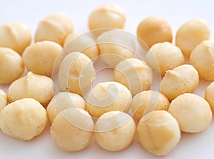 Macadamia nuts photo