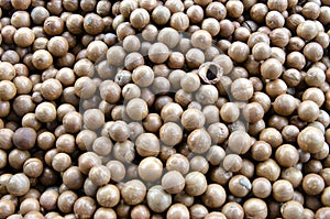 Macadamia Nuts