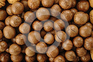 Macadamia nuts