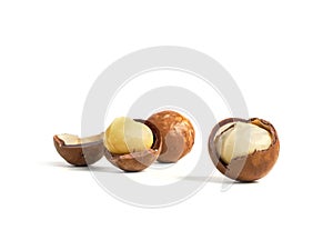 Macadamia nuts