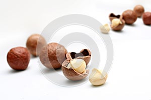 Macadamia nuts photo
