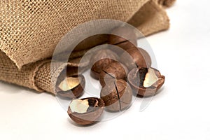 a macadamia nuts on burlap background backdrop