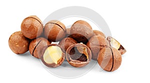 Macadamia nuts closeup on white background