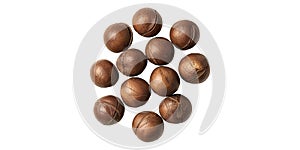 Macadamia nuts cluster isolated on transparent background