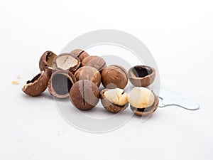 Macadamia nuts fruits with shell on white background