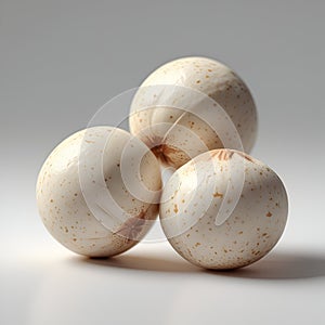 Macadamia Nuts Isolated