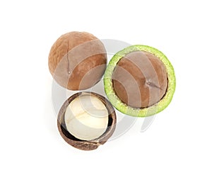 Macadamia nuts isolated on white background