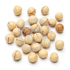 Macadamia Nuts