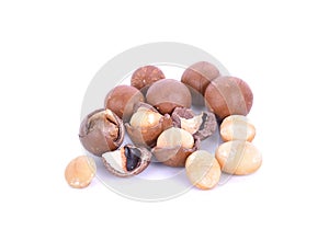 Macadamia nuts isolated on white background