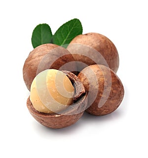 Macadamia nuts isolated
