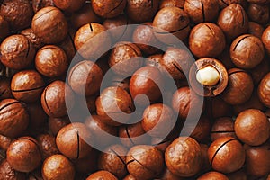 Macadamia nuts in large quantities in bulk in the form of the texture of fresh natural fruit shelled one nut in the frame close-up