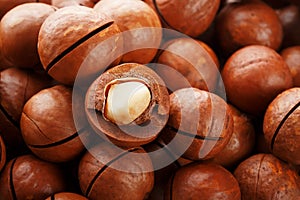 Macadamia nuts in large quantities in bulk in the form of the texture of fresh natural fruit shelled one nut in the frame close-up