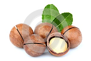 The macadamia nuts with leaf close-up.