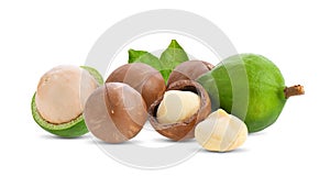 macadamia nuts with leaf isolated on white