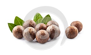 Macadamia nuts with leaves