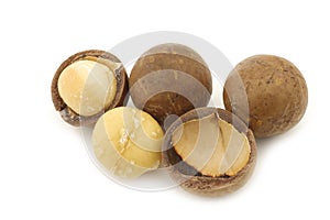 Macadamia nuts (Macadamia tetraphylla)