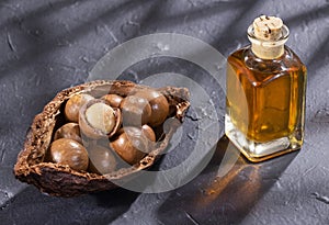 Macadamia nuts and oil - Macadamia integrifolia