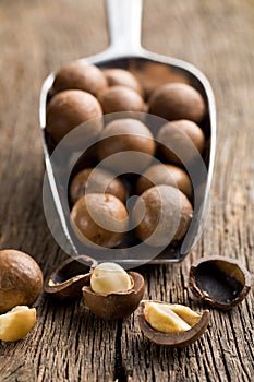 Macadamia nuts on scoop