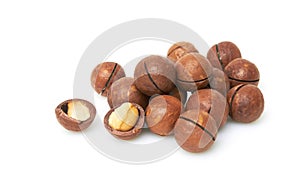 Macadamia nuts on a white