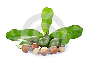 Macadamia nuts on white background