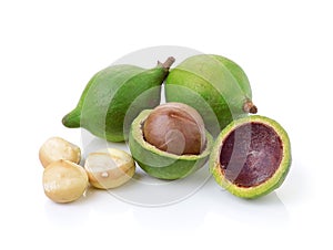 Macadamia nuts on white background