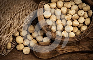 Macadamia on olivewood