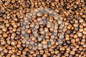 Macadamia in shell photo