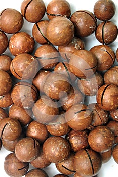 macadamias