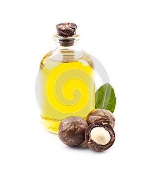 Macadamis nuts with leaves