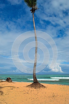 Macao beach dominican republic