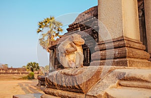 Macaque Monkey in Angkor Wat Temple in Cambodia