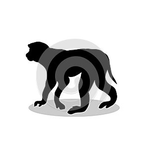 Macaque monkey primate black silhouette animal