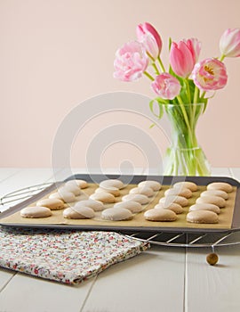 Macaron on baking tray