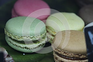 Macaron or french macaroon is sweet colored, green brown, yellow and red