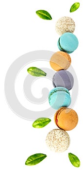 Macaron or macaroon